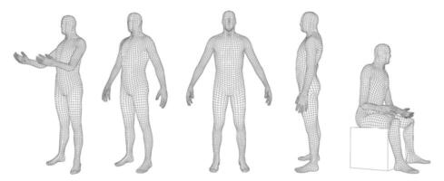 Wireframe human body. Polygonal 3D mesh male character, man dummy hologram grid and virtual reality cyber human model. set with editable stroke paths vector