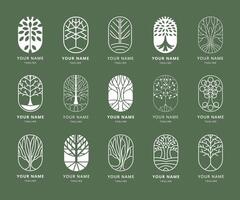 Pill shape tree emblem. Minimal tree with roots and leaves, growing plant label design template icons set vector