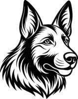 German shepherd dog on a white background vector