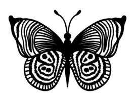 Single linear butterfly on a white background. Vintage style black vector