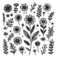 Hand drawn flower doodles. Hand drawn sketch of spring flower plant. simple flower with white background vector