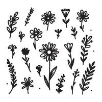Hand drawn flower doodles. Hand drawn sketch of spring flower plant. simple flower with white background vector