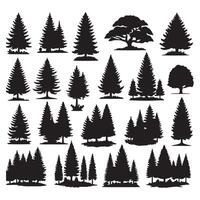 Pine tree silhouettes. Evergreen forest firs and spruces black shapes, wild nature trees templates. illustration woodland trees set on white background vector
