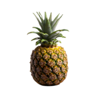 Pineapple fruit isolated on transparent background png