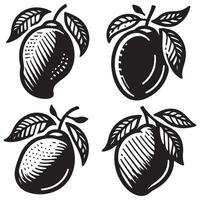 A single line black mango silhouette set of white background vector