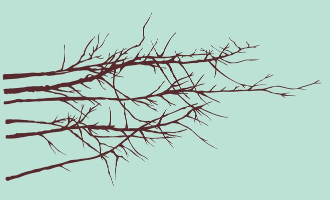 Silhouette illustration of dry branches.