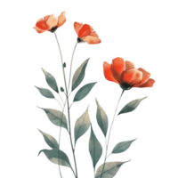 A bold and minimalist depiction of fresh, clean watercolor flowers isolated on a transparent background png