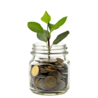 A glass jar filled with coins with a small plant sprouting from the top, isolated on a transparent background png