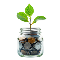 A glass jar filled with coins with a small plant sprouting from the top, isolated on a transparent background png