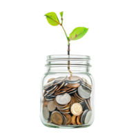 A glass jar filled with coins with a small plant sprouting from the top, isolated on a transparent background png