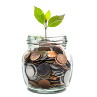 A glass jar filled with coins with a small plant sprouting from the top, isolated on a transparent background png