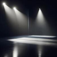 A dimly lit room with a minimalist aesthetic. Polished concrete floors reflect a soft glow from strategically placed spotlights. The spotlights cast long, dramatic shadows across the empty space, photo
