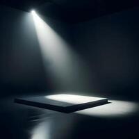A dimly lit room with a minimalist aesthetic. Polished concrete floors reflect a soft glow from strategically placed spotlights. The spotlights cast long, dramatic shadows across the empty space, photo