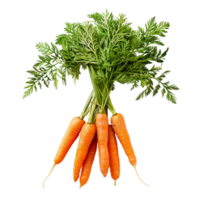 A bunch of fresh orange carrots with green tops isolated on a transparent background png