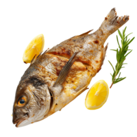 A beautifully cooked bream fish, fried to perfection and served with fresh lemon wedges isolated on a transparent background png