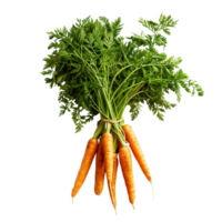 A bunch of fresh orange carrots with green tops isolated on a transparent background png