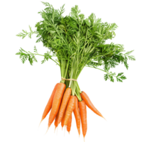 A bunch of fresh orange carrots with green tops isolated on a transparent background png