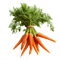 A bunch of fresh orange carrots with green tops isolated on a transparent background png