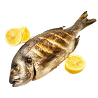 A beautifully cooked bream fish, fried to perfection and served with fresh lemon wedges isolated on a transparent background png