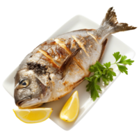 A beautifully cooked bream fish, fried to perfection and served with fresh lemon wedges isolated on a transparent background png