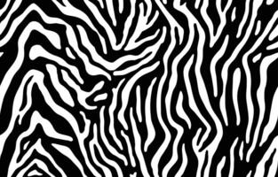 Zebra skin, stripes pattern. Animal print, black and white detailed and realistic texture. Monochrome seamless background vector