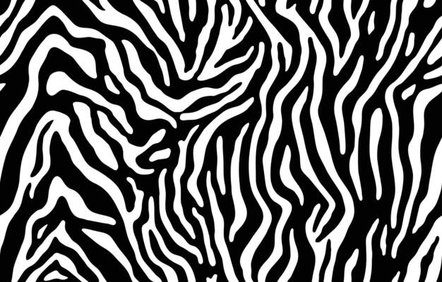 Zebra skin, stripes pattern. Animal print, black and white detailed and realistic texture. Monochrome seamless background