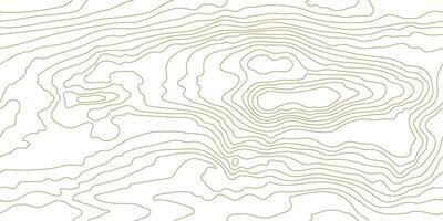 Seamless wooden pattern. Wood grain texture. Dense lines. Abstract white background vector