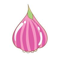 Illustration of cute onion is isolated on the white background vector