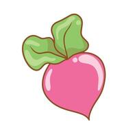 Illustration of cute beetroot is isolated on the white background vector
