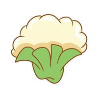Illustration of cute cauliflower is isolated on the white background vector