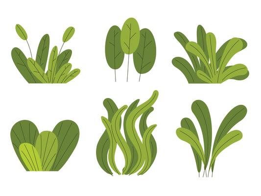 Set of hand drawn green shrub bush