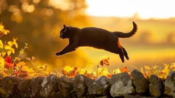 A sleek black cat mid-leap over a stone wall during sunset. Concept of agility, nature, feline grace, and twilight photo