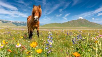 Brown horse in a vibrant field of wildflowers with a mountainous backdrop. Concept of nature, wildlife, rural landscape, tranquility, little pony photo