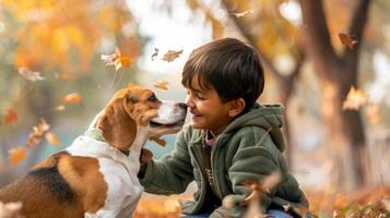 Hispano chico jugando con un beagle perro en un otoño parque. concepto de niño, mascota amistad, otoño estación, al aire libre actividad foto