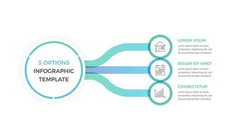 Infographic Template with 3 Options vector