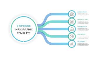 Infographic Template with 5 Options vector