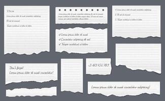 Torn Lined Paper vector