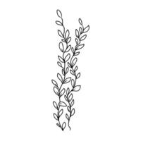 cartoon algae sketch vector