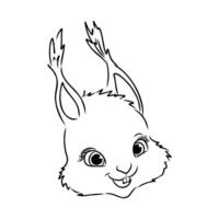 cartoon squirrel sketch vector
