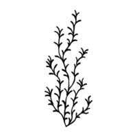 cartoon algae sketch vector