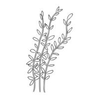 cartoon algae sketch vector