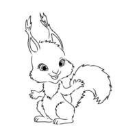 cartoon squirrel sketch vector