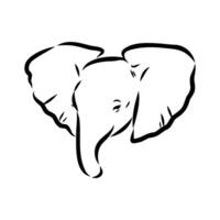 African elephant sketch vector