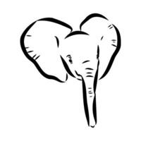 African elephant sketch vector