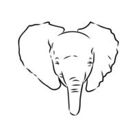 African elephant sketch vector