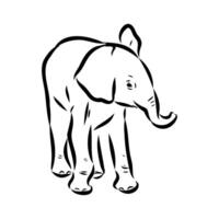 African elephant sketch vector