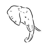 African elephant sketch vector