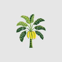 Banana tree icon. Gray background with green. vector
