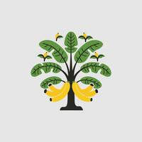 Banana tree icon. Gray background with green. vector
