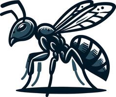 Ant silhouette and illustration with a white background. vector